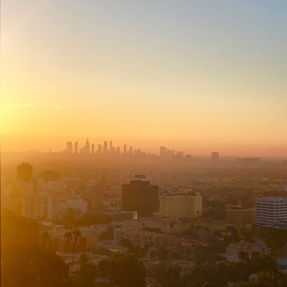 Meet your Posher, Jenn